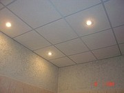 Предлагаем плиты потолочные для подвесного потолка из тонколистовой ст